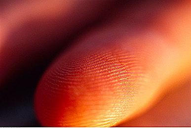 SFC及多平台模拟器开发者Near因网络暴力选择自杀